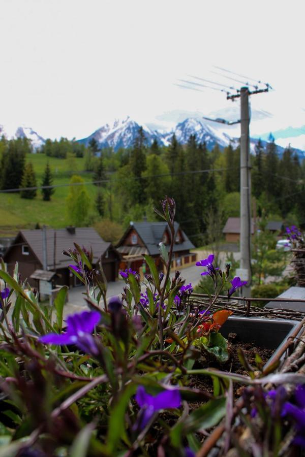 Privat Gazda Pension Ždiar Buitenkant foto